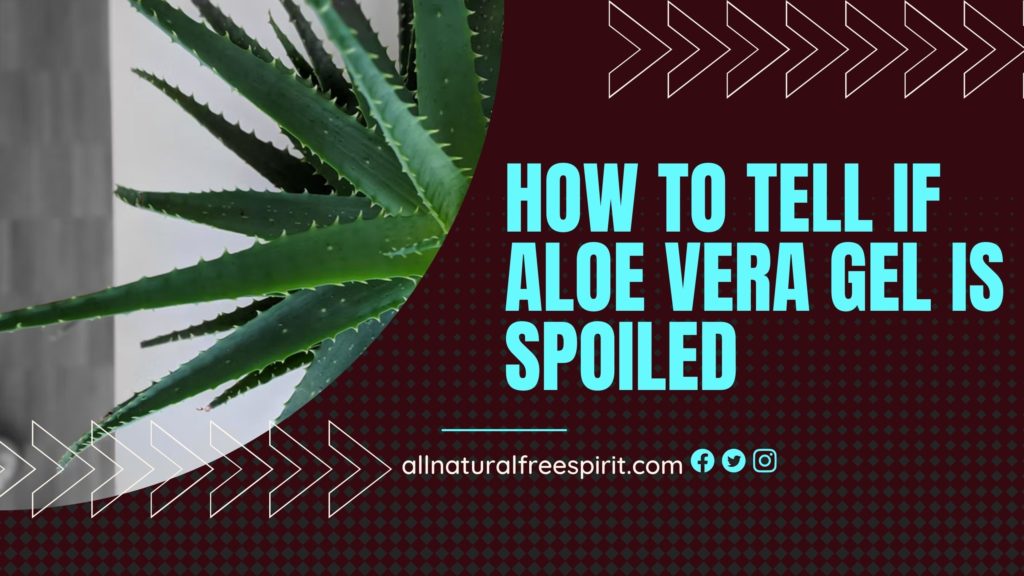 How To Tell If Aloe Vera Gel Is Spoiled